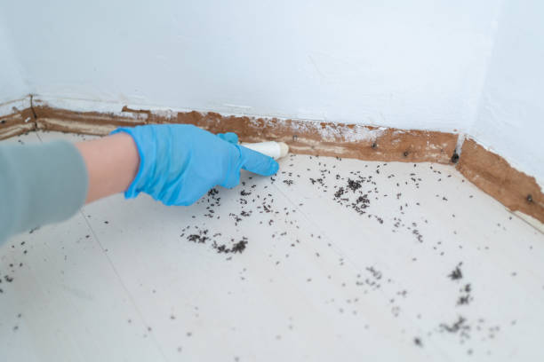 Best Pest Removal Services  in Spry, PA