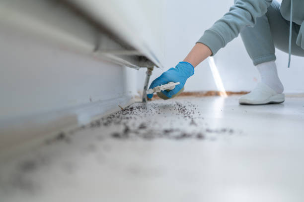 Professional Pest Control in Spry, PA